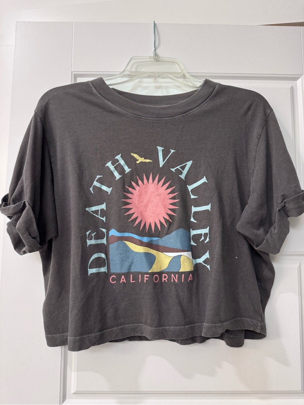 Altar'd State Charcoal Crop Tee with Pink Sun and Pastel Landscape